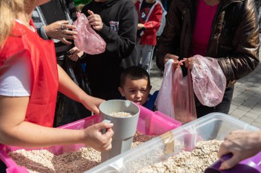 KHARKIV, UKRAINE - Aug. 02, 2022: A volunteer girl pours oatmeal into plastic bags for people in the grocery line. Volunteer organization Caritas Ukraine distributes food to the needy in Kharkiv