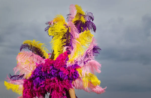 Νεαρή Γυναίκα Στο Φωτεινό Και Πολύχρωμο Καρναβάλι Κοστούμια Θέτοντας Εξωτερικούς — Φωτογραφία Αρχείου