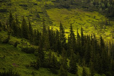 Güneşli bir günde harika dağlık araziler. Güneş ışığında peri masalı manzarasının manzarası. Vahşi bölge. Seyahat konsepti. Yaratıcı resim