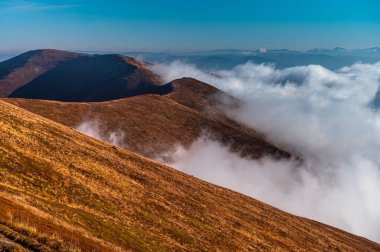 Gün batımında dağların manzarası. Ukrayna Karpatlarının şaşırtıcı doğa manzarası. Borzhava Geçidi popüler seyahat yeri. Seyahat, macera, konsept imaj. Şaşırtıcı doğal arkaplan.
