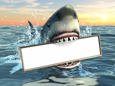 Shark advertising clipart