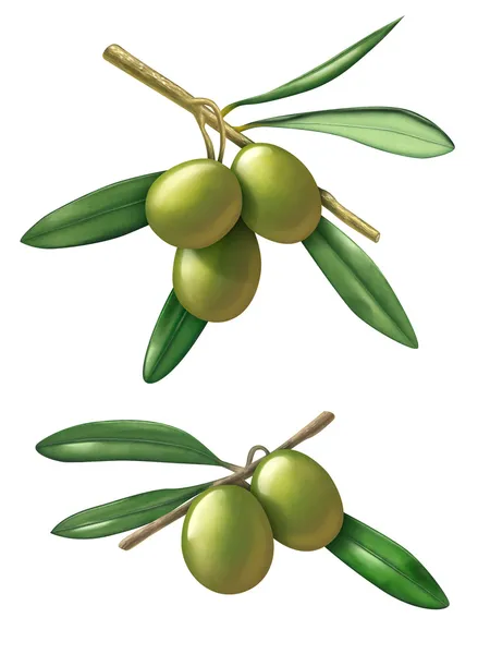 Olives — Stock Photo, Image