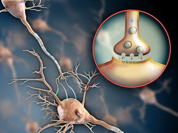 Нейронный синапс — стоковое фото