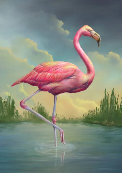 Flamingo Standing Pond Sunset Mixed Media Painting — Stock Photo, Image