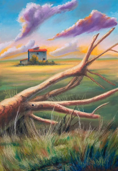 Vidéki Faágak Eredeti Festmény Vászonra — Stock Fotó