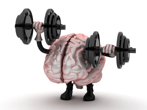 Brain — Stock Photo, Image