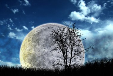 ay ve gece gökyüzü, bir ülkenin çayır yatay
