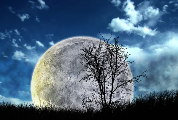 A Country Meadow Landscape with Moon and Night Sky — Stock Photo, Image