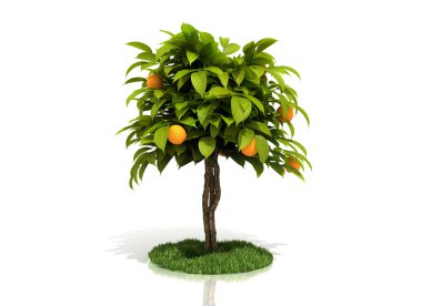 3D render portakal ağacı tam beyaz bitti izole sarı portakal