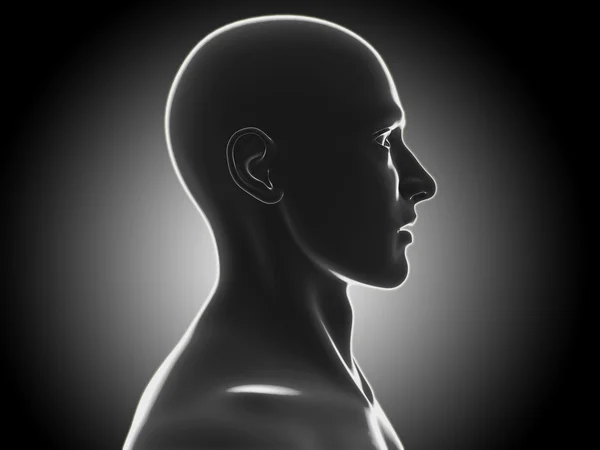 Ανθρώπινο κεφάλι — Φωτογραφία Αρχείου