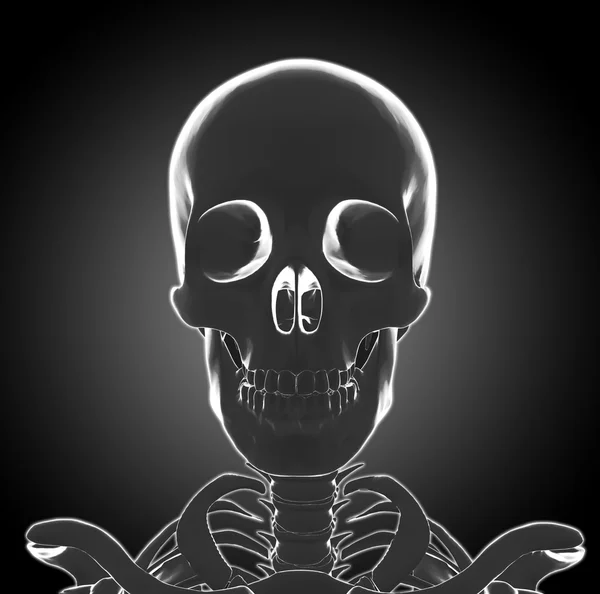 Menschlicher Skelettkopf — Stockfoto