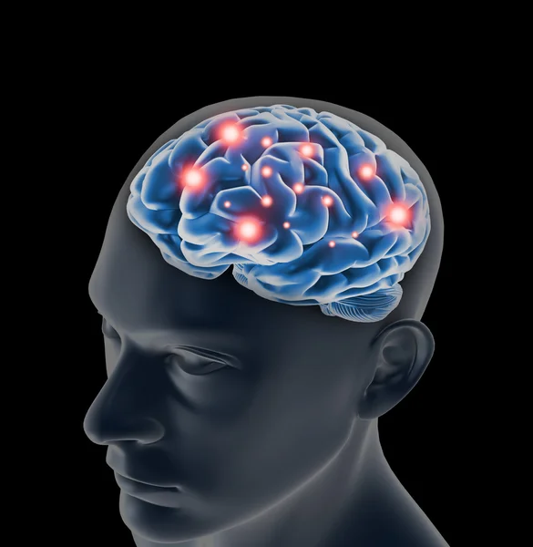 Brain — Stock Photo, Image