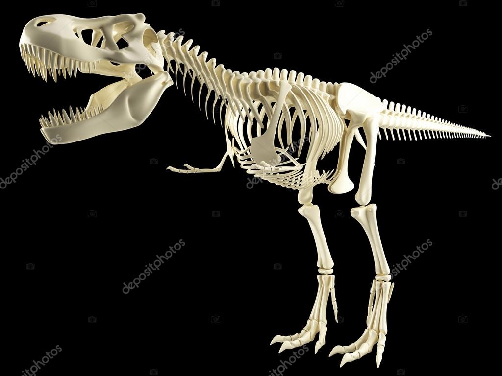 t rex skeleton complete