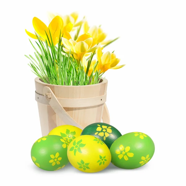 Colored Easter eggs and crocuses — Stock Photo, Image