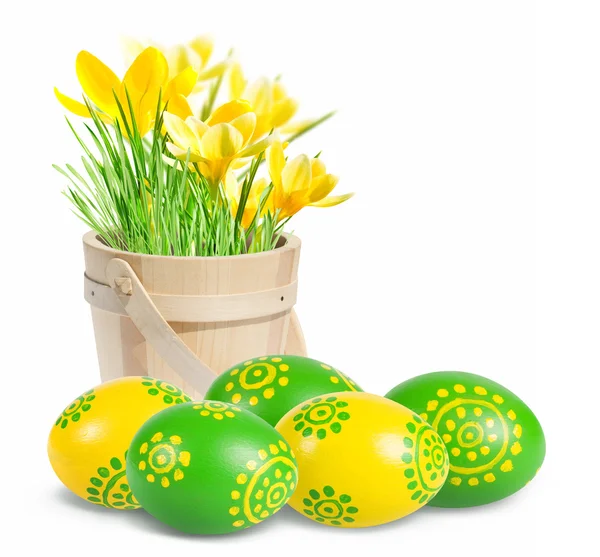 Colored Easter eggs and crocuses — Stock Photo, Image