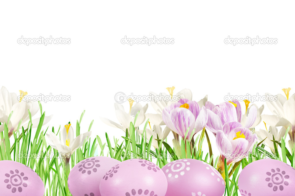 Easter eggs and crocuses