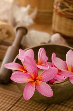 Frangipani çiçekli tropikal spa