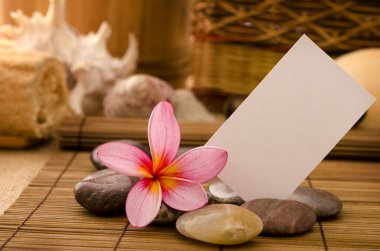 Frangipani çiçekli tropikal spa