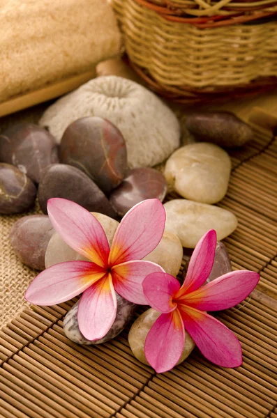 Tropischer Wellnessbereich mit Frangipani-Blumen — Stockfoto