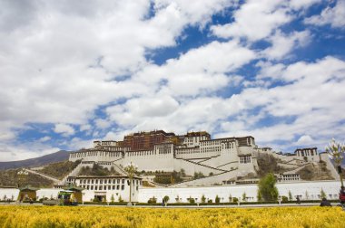 Potala Sarayı