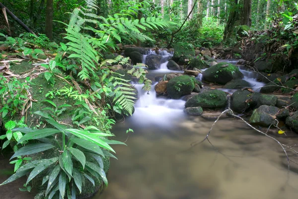 Natural green waterfall — Stock Photo, Image