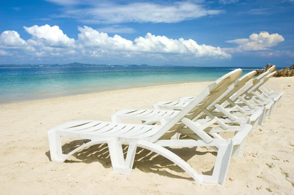 Spiaggia con alberi di cocco — Foto Stock