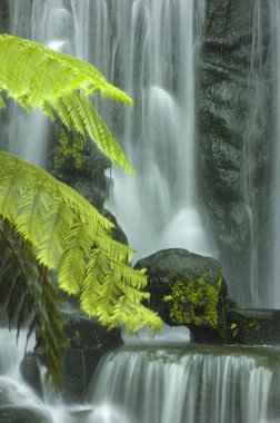Japon yeşil bahçe şelale fotoğraf