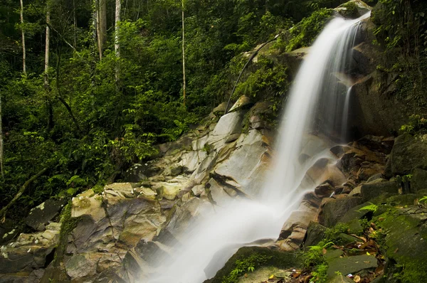 Green waterfall nature — Stock Photo, Image