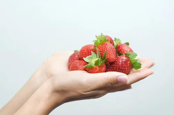 A female asian hands holding a bunch of strawberries — Stock Photo, Image