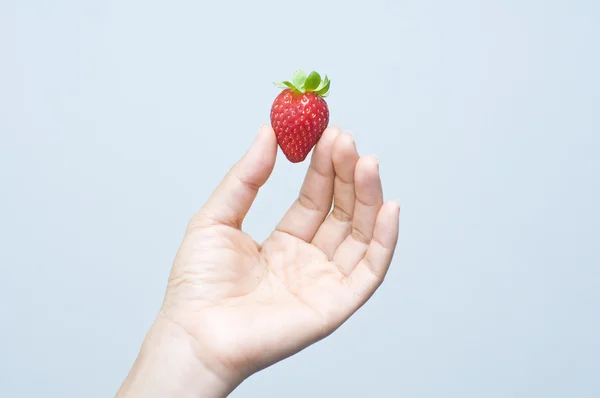 An asian hand holding a single strawberry — Stock Photo, Image