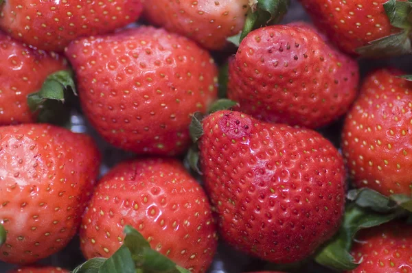 Basket full of strawberries — Stock Photo, Image