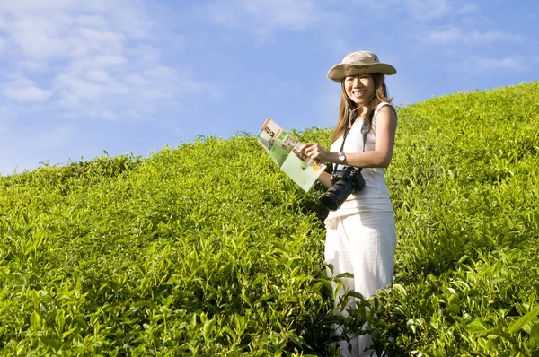 Asian female tourist on green tea field — Stock Photo, Image