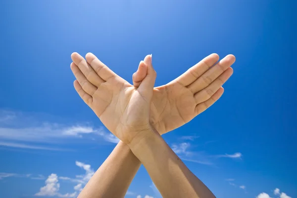 Hand symbolizing dove sign — Stock Photo, Image