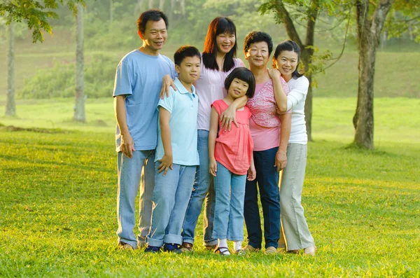 Utökad familj stående utomhus leende — Stockfoto