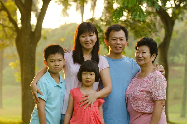 Rozszerzony rodzina stojący na zewnątrz uśmiechający się — Zdjęcie stockowe