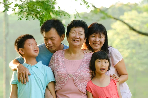 Utökad familj stående utomhus leende — Stockfoto