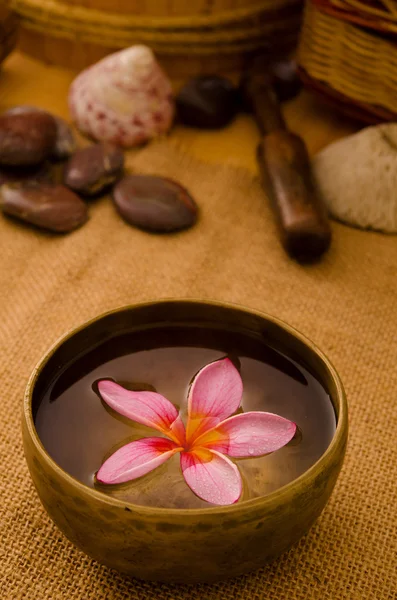 Tropisches Spa-Setup mit Frangipani-Blume — Stockfoto