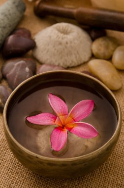 tropikal spa frangipani çiçek ile kurulum