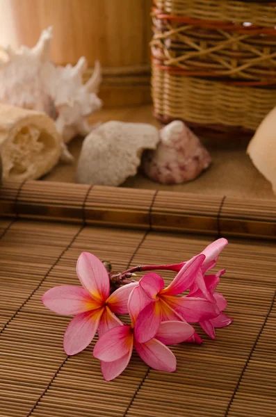 Tropiska spa setup med frangipani blomma — Stockfoto