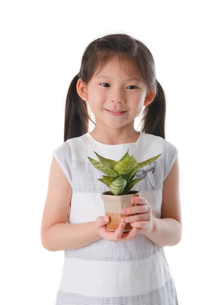 Asian girl holding a plant — Stock Photo, Image