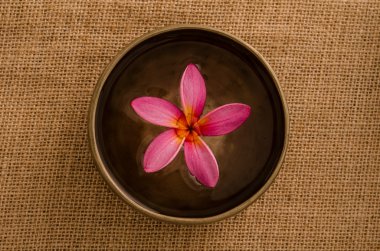 Frangipani spa konsept fotoğraf, lowlight çevre spa aydınlatma, sha