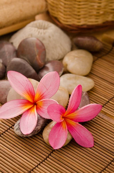 Tropischer Wellnessbereich mit Frangipani-Blumenarrangements — Stockfoto