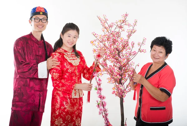 Chinese new year family decorating willow tree — Stock Photo, Image