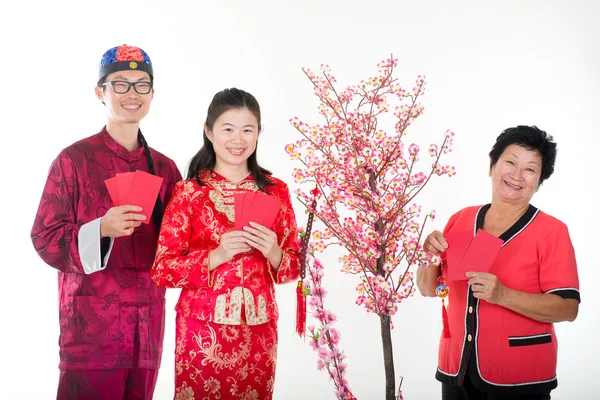 Feliz ano novo chinês cumprimentos por família — Fotografia de Stock