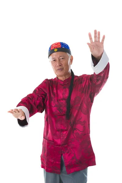Китайский мастер кунг-фу — стоковое фото