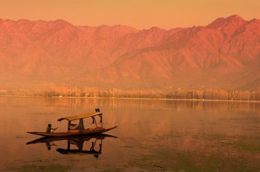 srinagar, Keşmir, Hindistan göl günbatımı dal