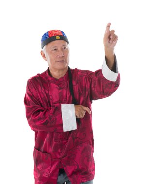 Çin dövüş sanatı ustası yılan kung fu