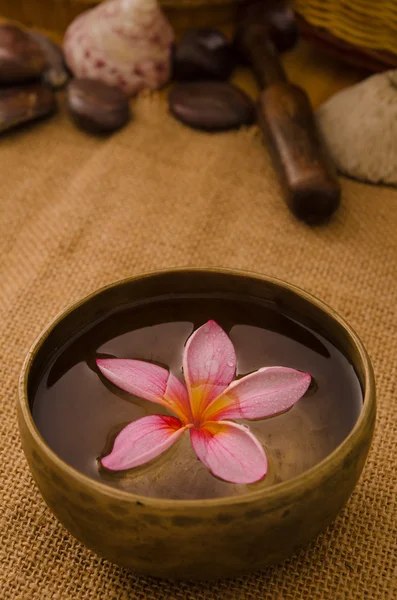 Tropical spa setup with traditional frangipani flower and massag — Stock Photo, Image