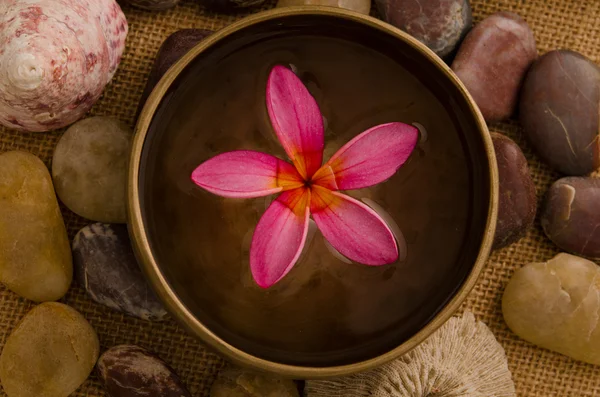 Allestimento termale tropicale con tradizionale fiore di frangipani e massag — Foto Stock