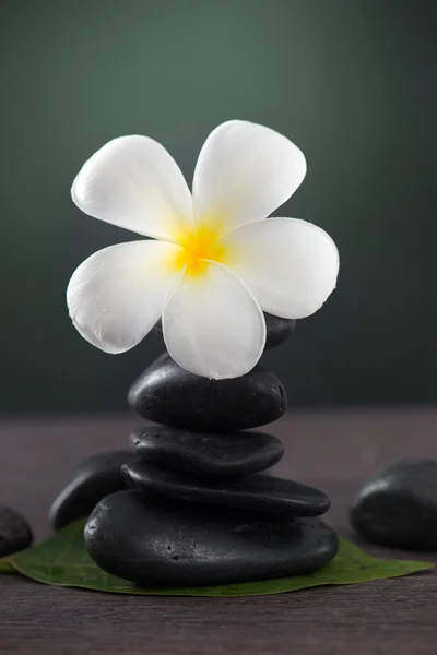 Piedras calientes apiladas para spa de masajes y frangipani con bac verde — Foto de Stock